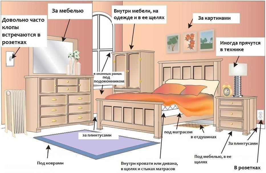 Обработка от клопов квартиры в Нижневартовске