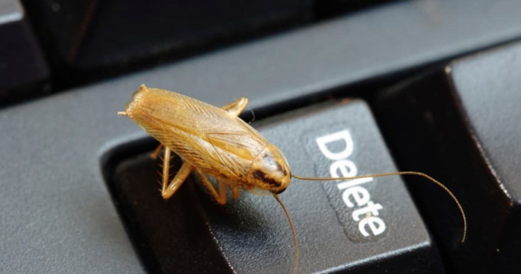 Уничтожение тараканов в офисе в Нижневартовске